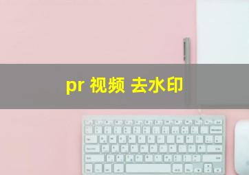 pr 视频 去水印